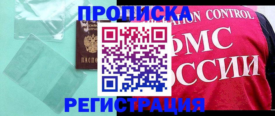 прописка 2025 в Камешково